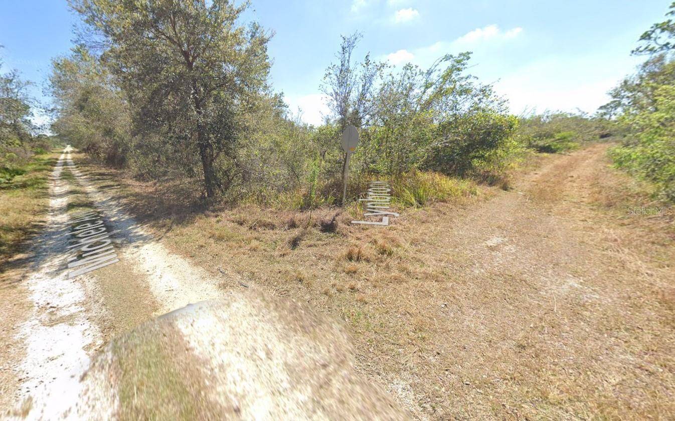 Lake Placid, FL 33852,755 LYNBROOK ST