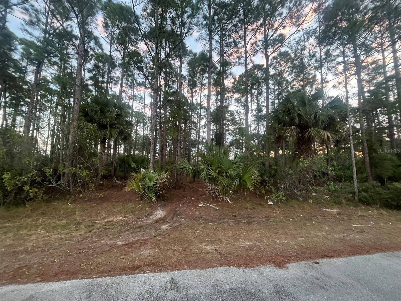 Palm Bay, FL 32909,2641 QUINCY AVE SE