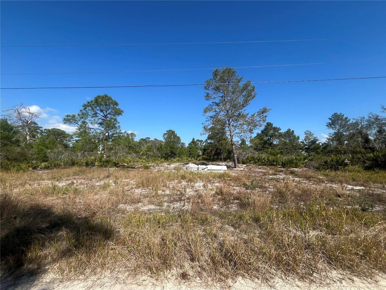 Sebring, FL 33870,203 RAVEN AVE