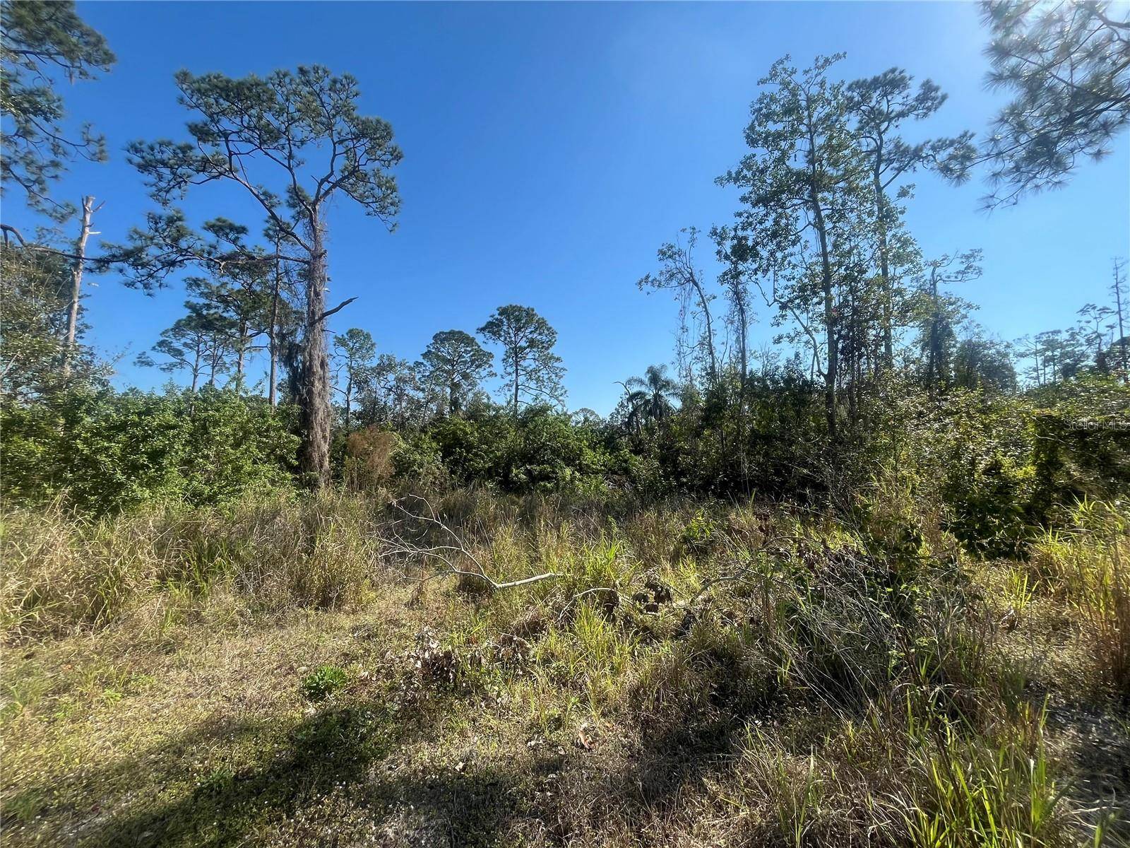 Sebring, FL 33870,238 SWIFT AVE