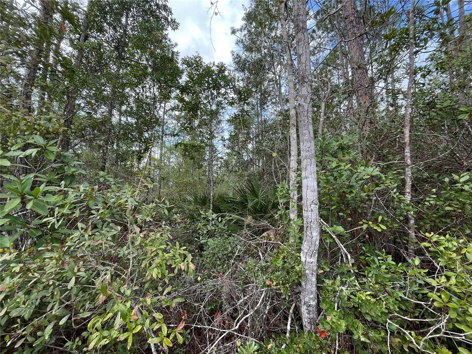Interlachen, FL 32148,215 ROYAL AVE