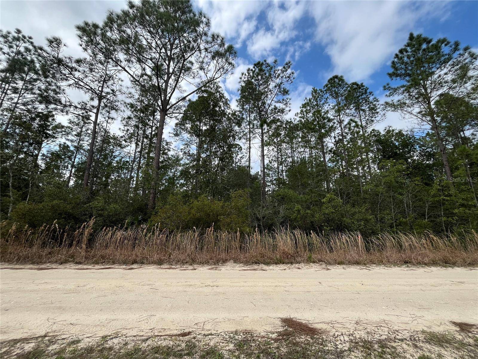 Interlachen, FL 32148,215 ROYAL AVE