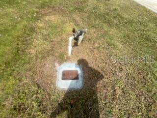 Punta Gorda, FL 33955,25041 DOREDO DR