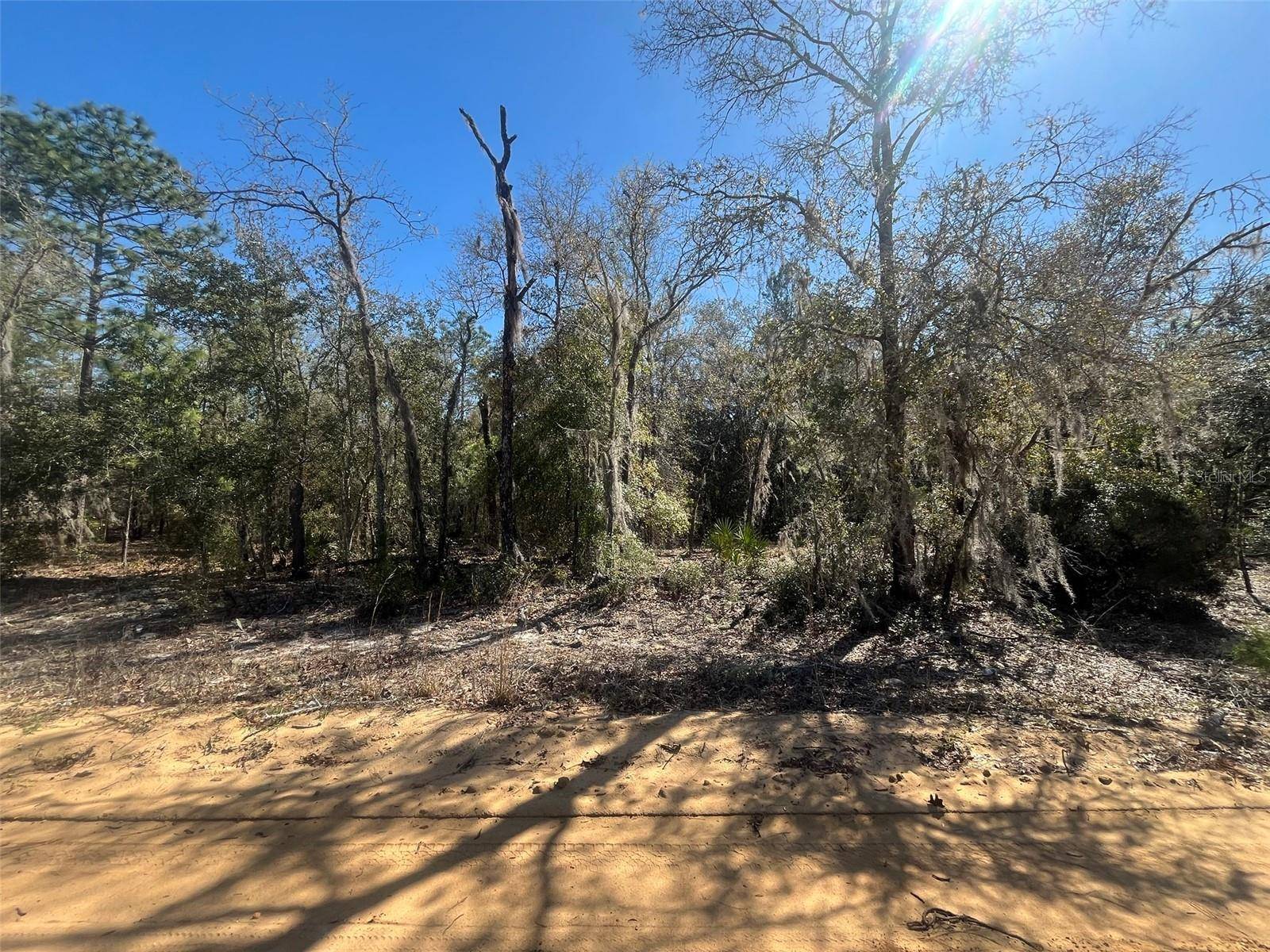 Interlachen, FL 32148,KITTY