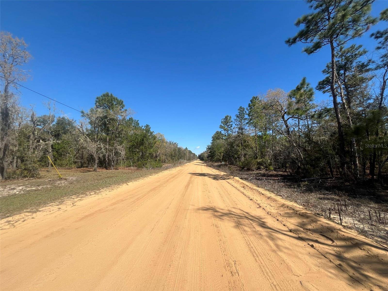 Interlachen, FL 32148,KITTY