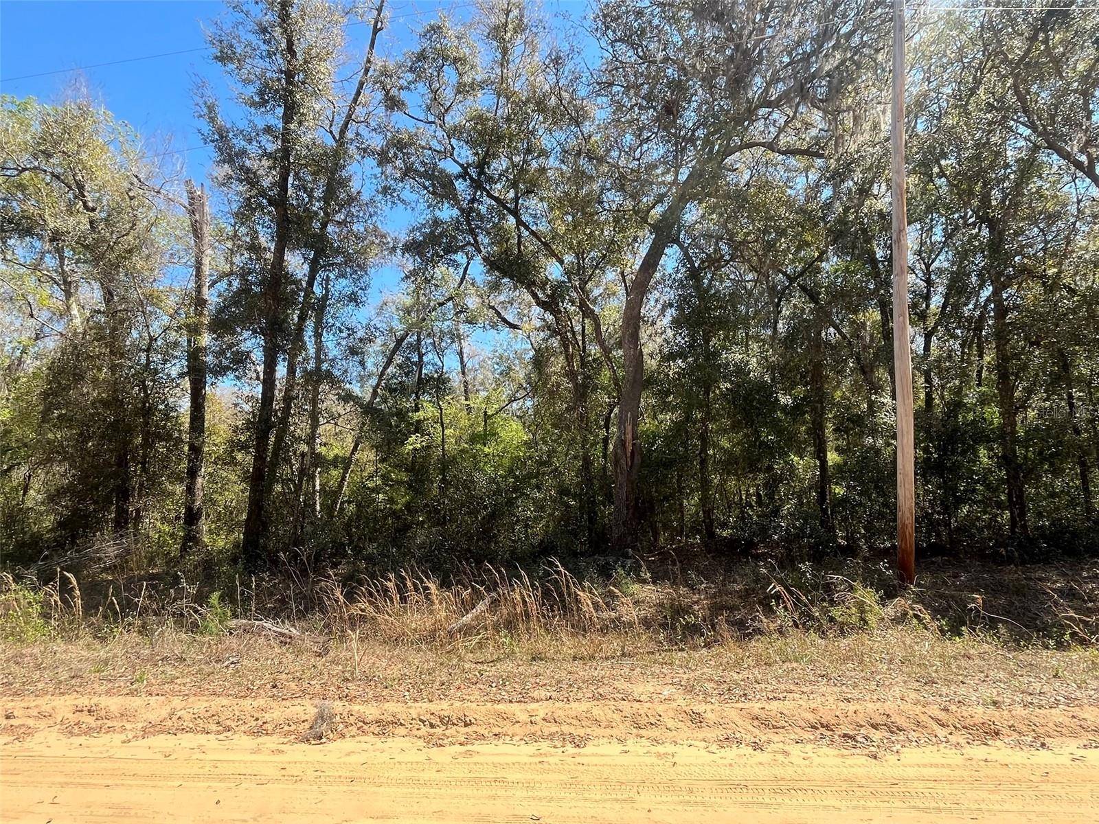 Interlachen, FL 32148,WALKER