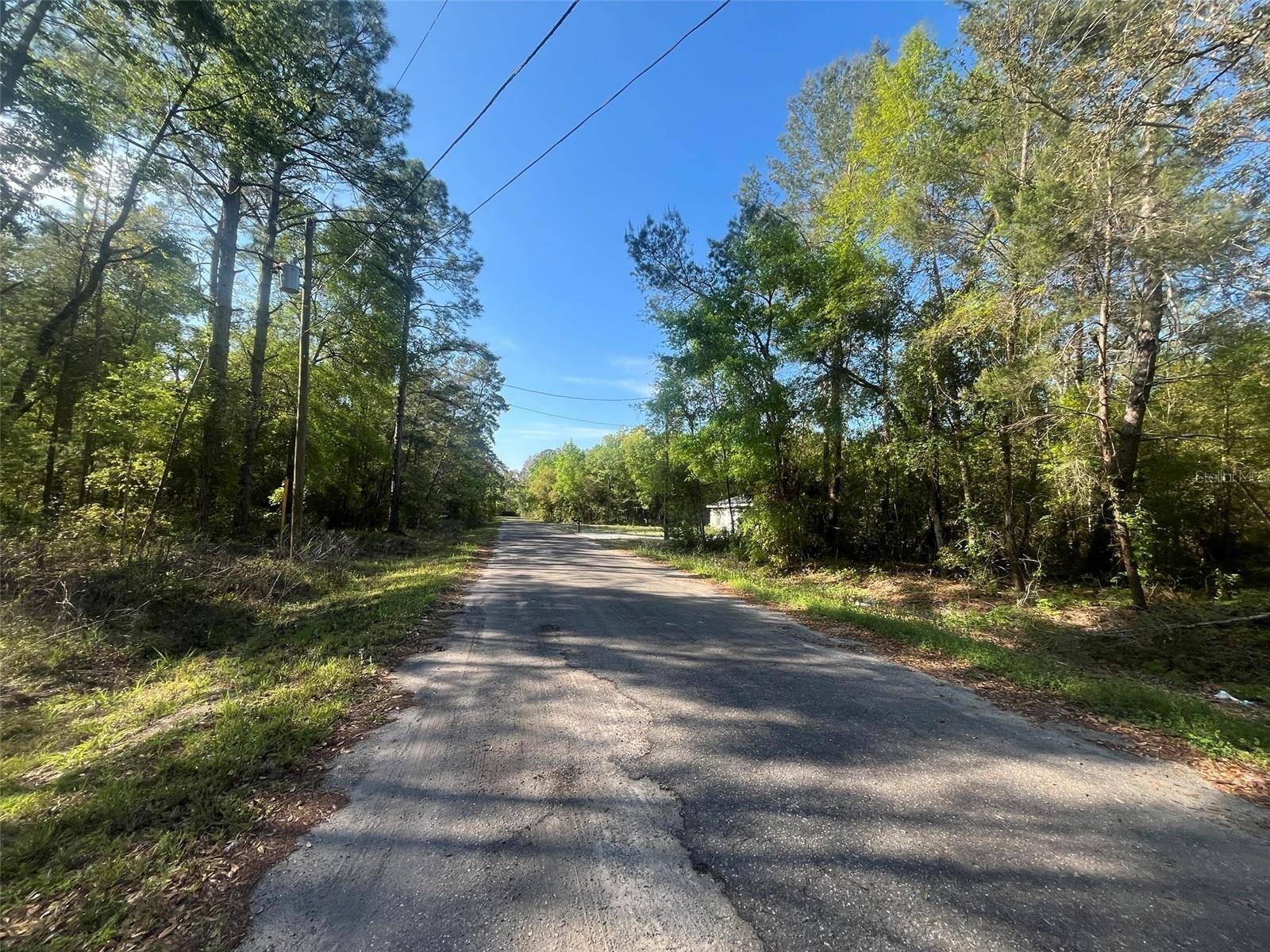 Ocklawaha, FL 32179,TBD GUAVA PASS