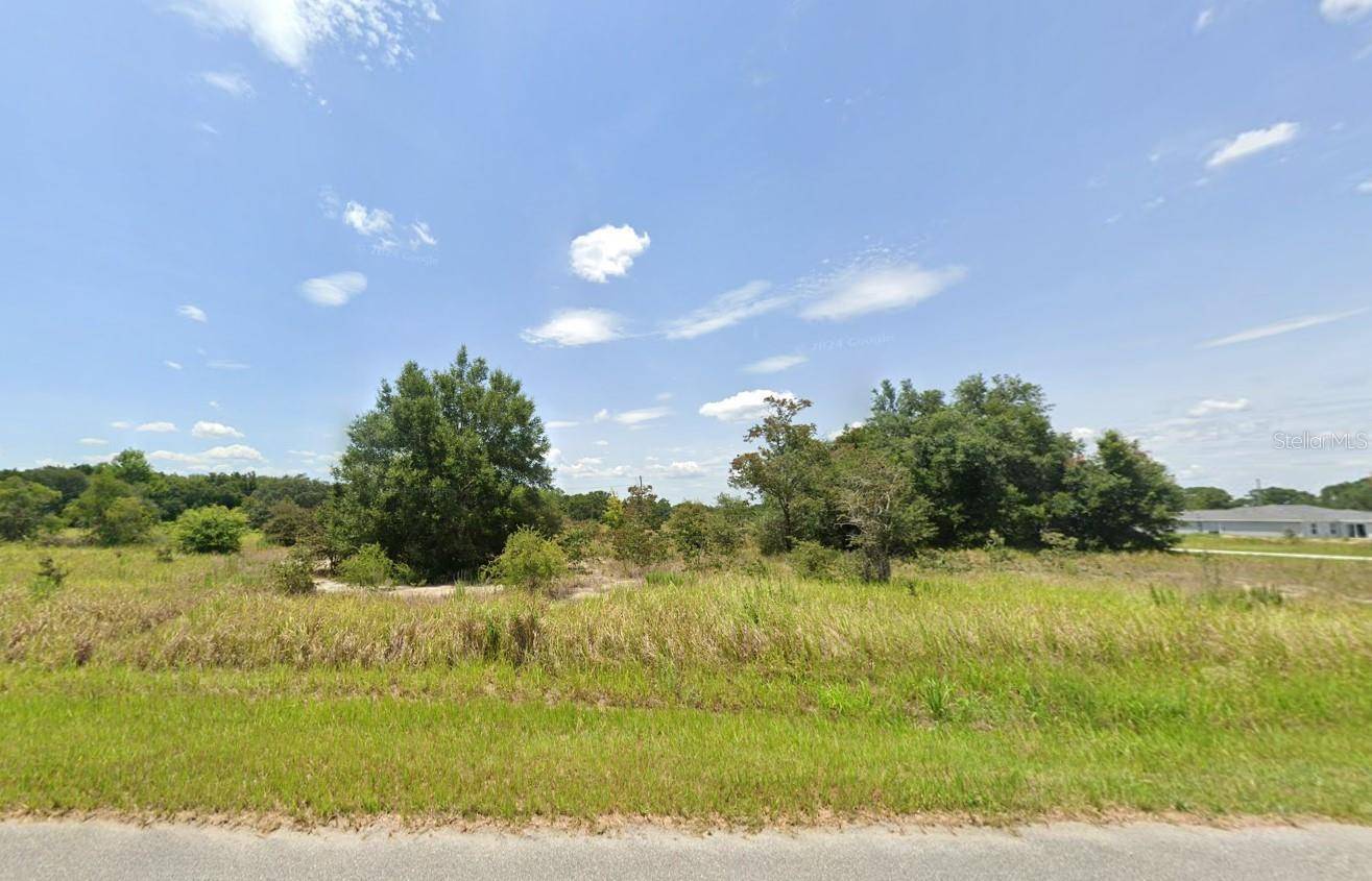 Ocala, FL 34472,LOCUST PASS #2
