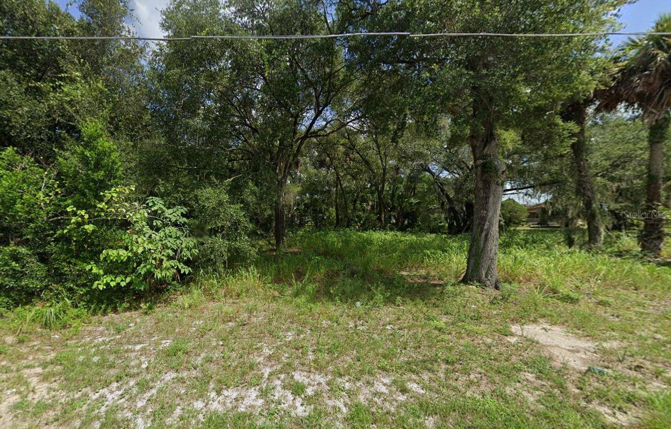 Eustis, FL 32726,315 PALMETTO ST