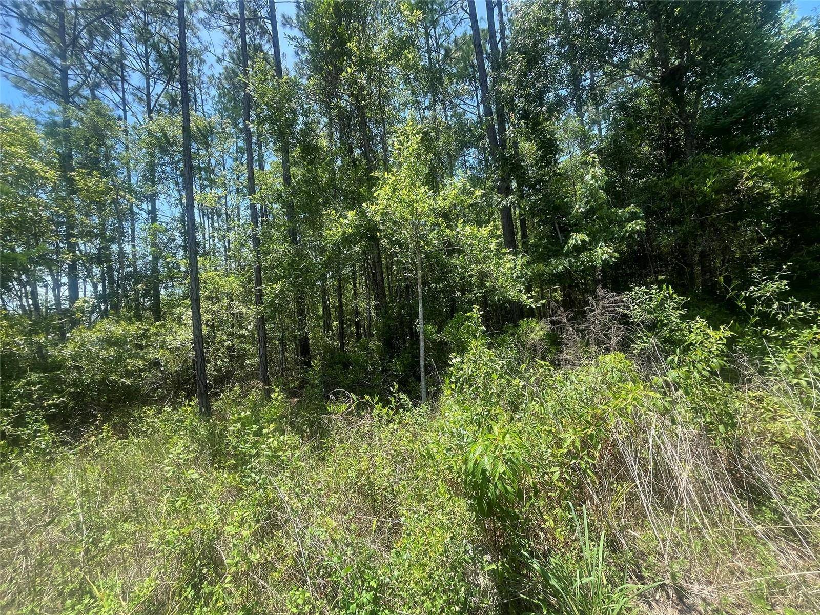 Hastings, FL 32145,10445 AMOS AVE