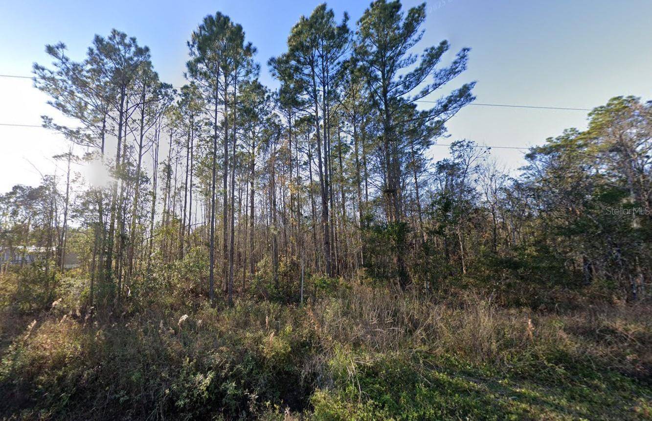 Hastings, FL 32145,10445 AMOS AVE