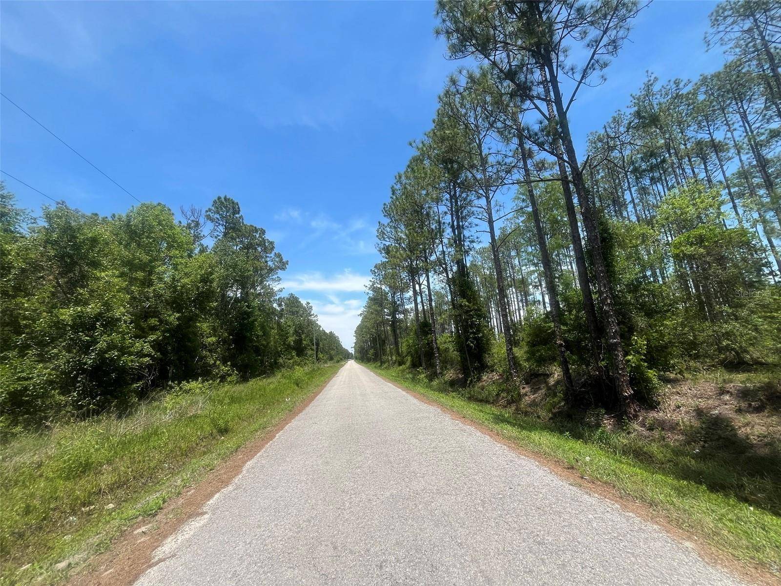 Hastings, FL 32145,10445 AMOS AVE