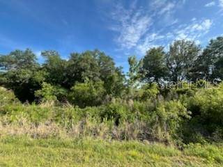 Okeechobee, FL 34972,22240 NW 282ND ST