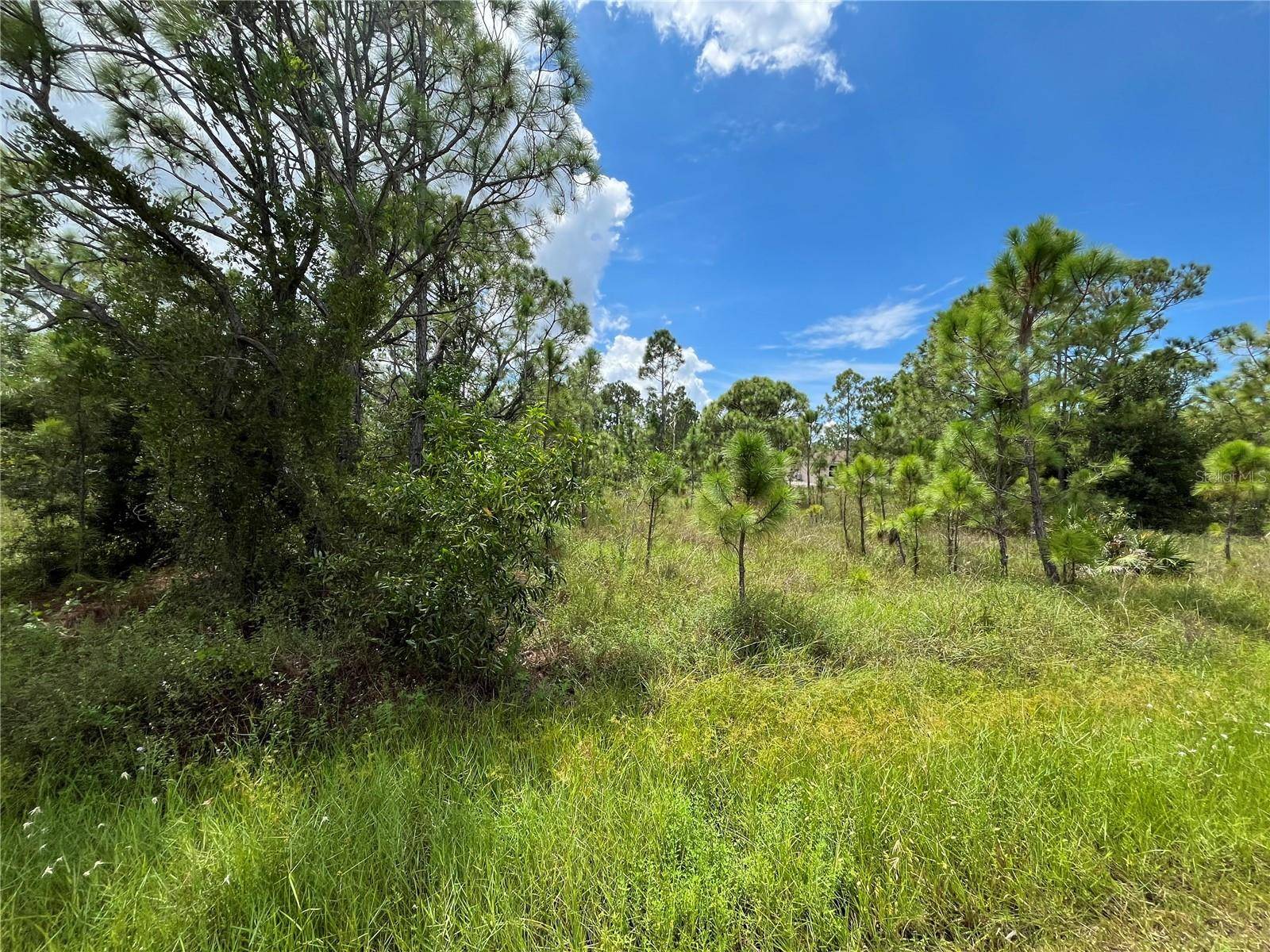 Punta Gorda, FL 33955,27141 BADGER DR