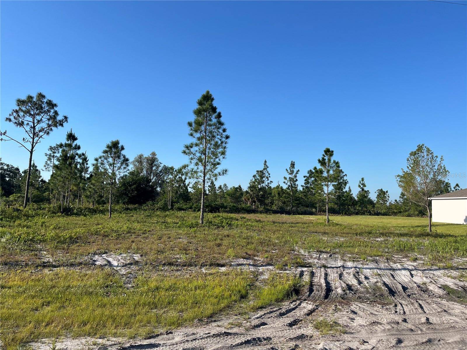 Indian Lake Estates, FL 33855,1019 CALENDULA DR