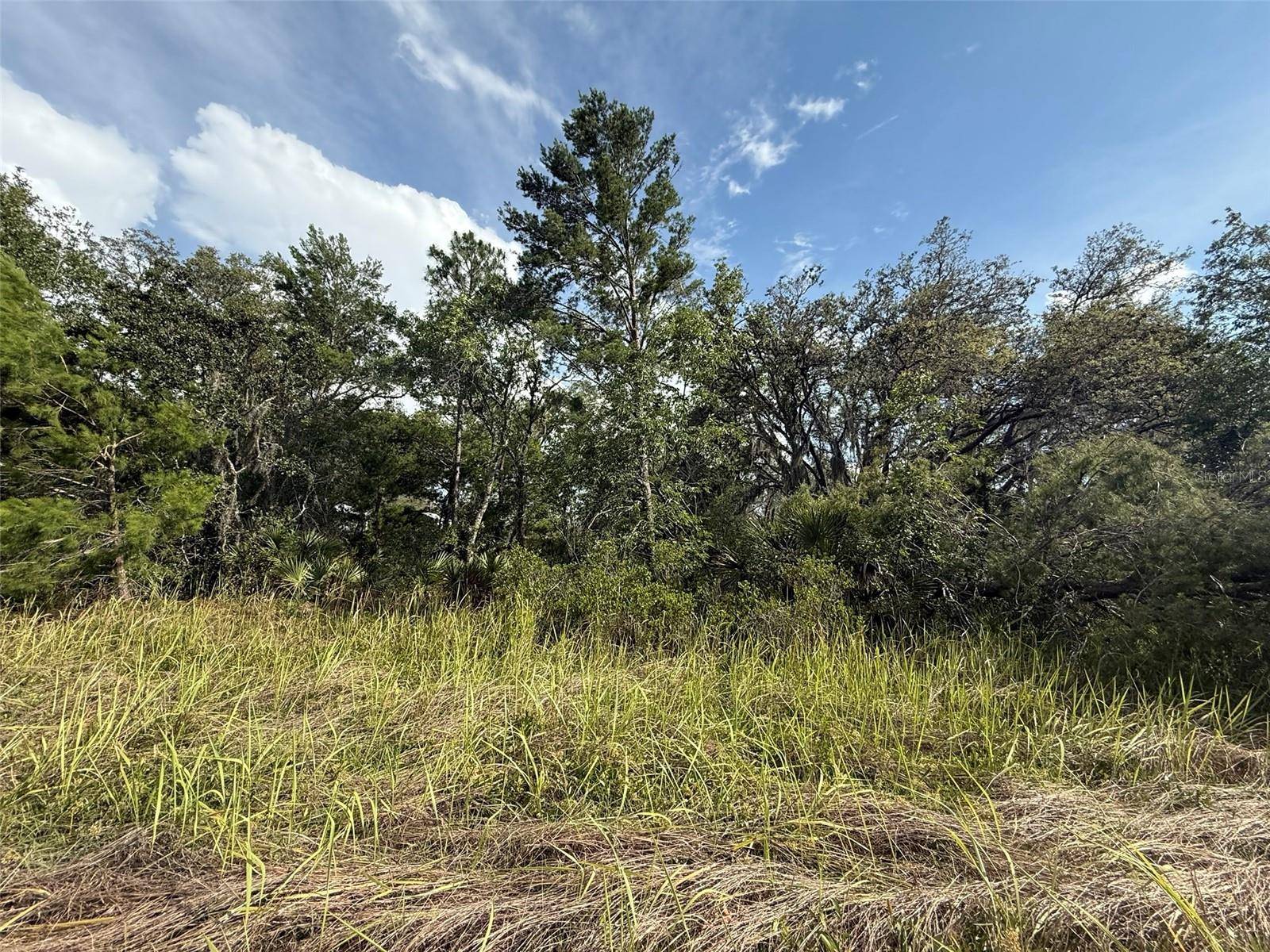 North Port, FL 34288,TBD GUIANA AVE