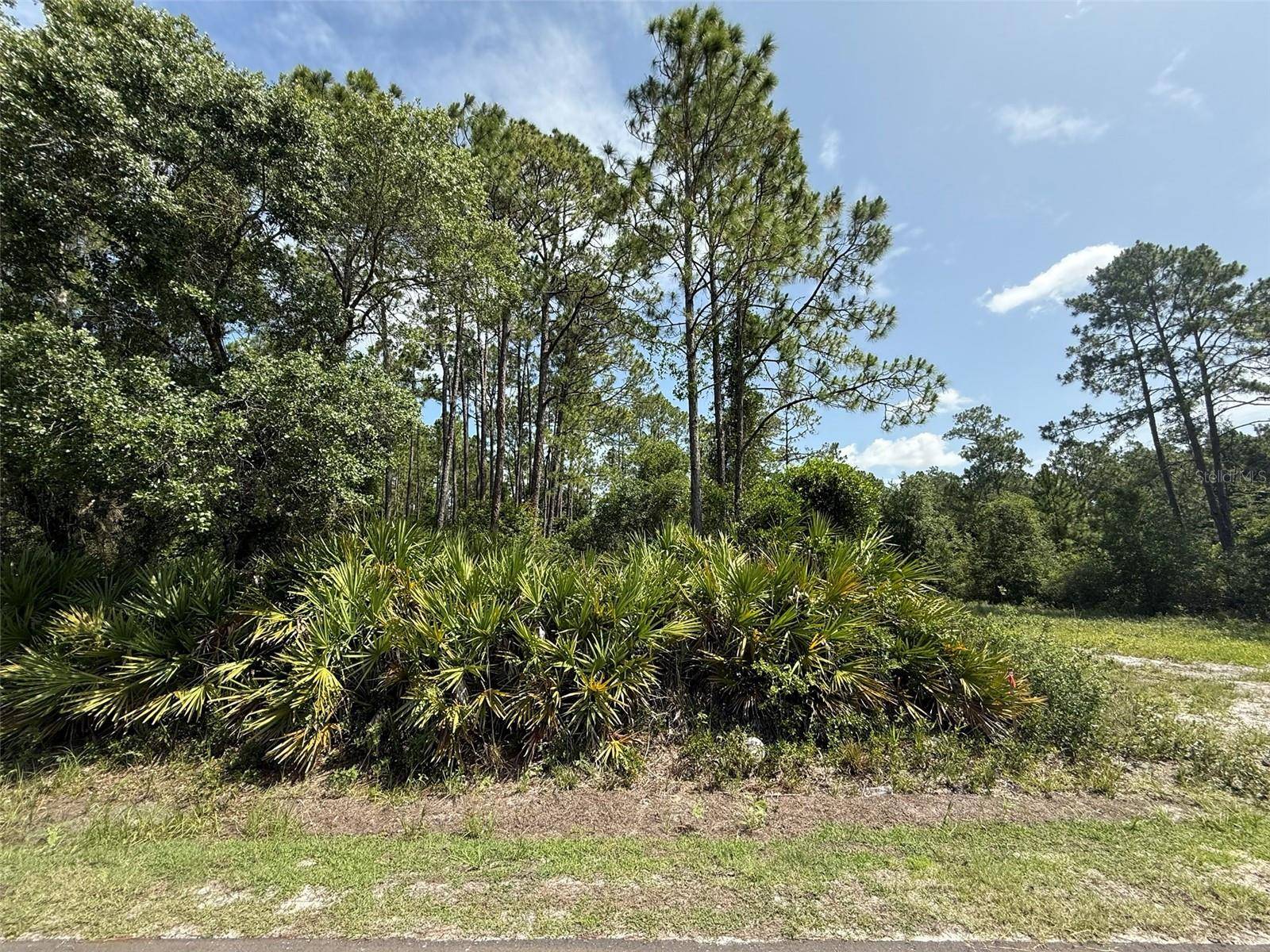 Palatka, FL 32177,174 MILLICAN RD