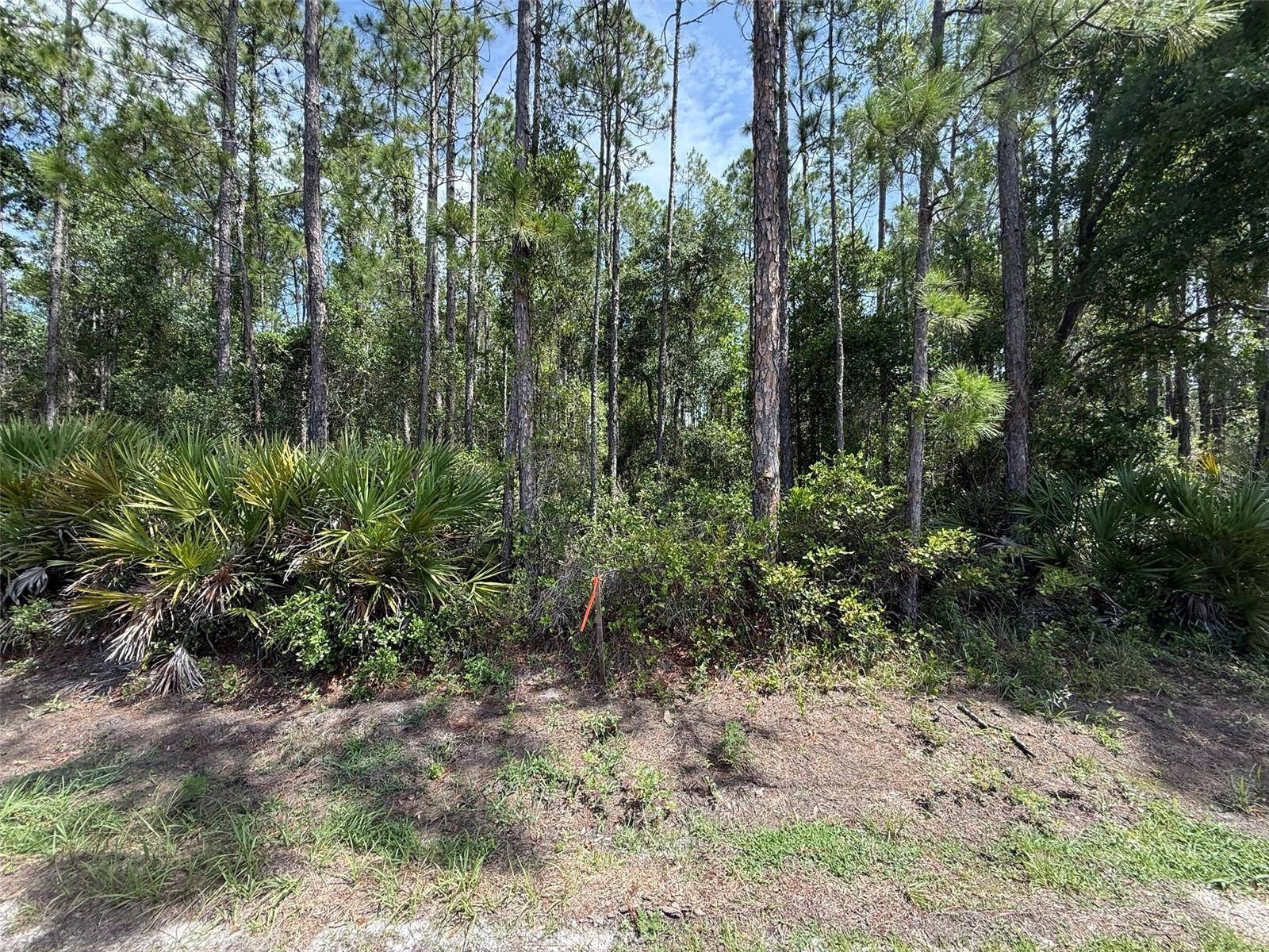 Palatka, FL 32177,178 MILLICAN RD