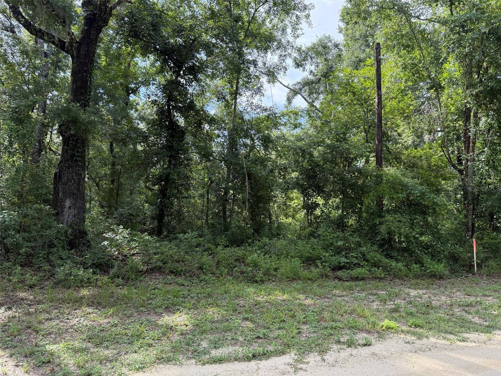 Live Oak, FL 32060,RUNNING SPRINGS DR