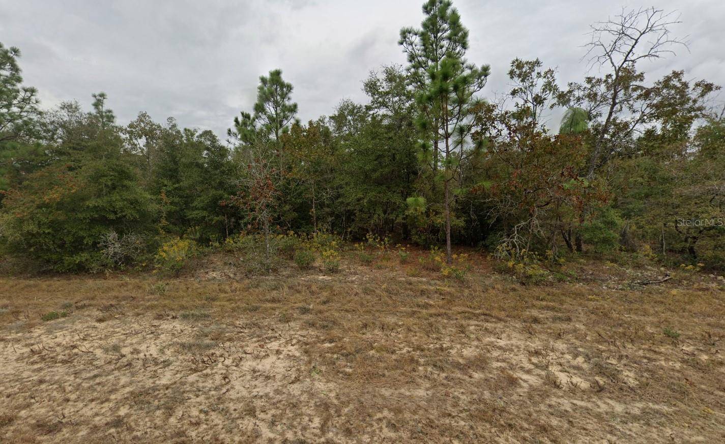 Chipley, FL 32428,DEVONSHIRE DR