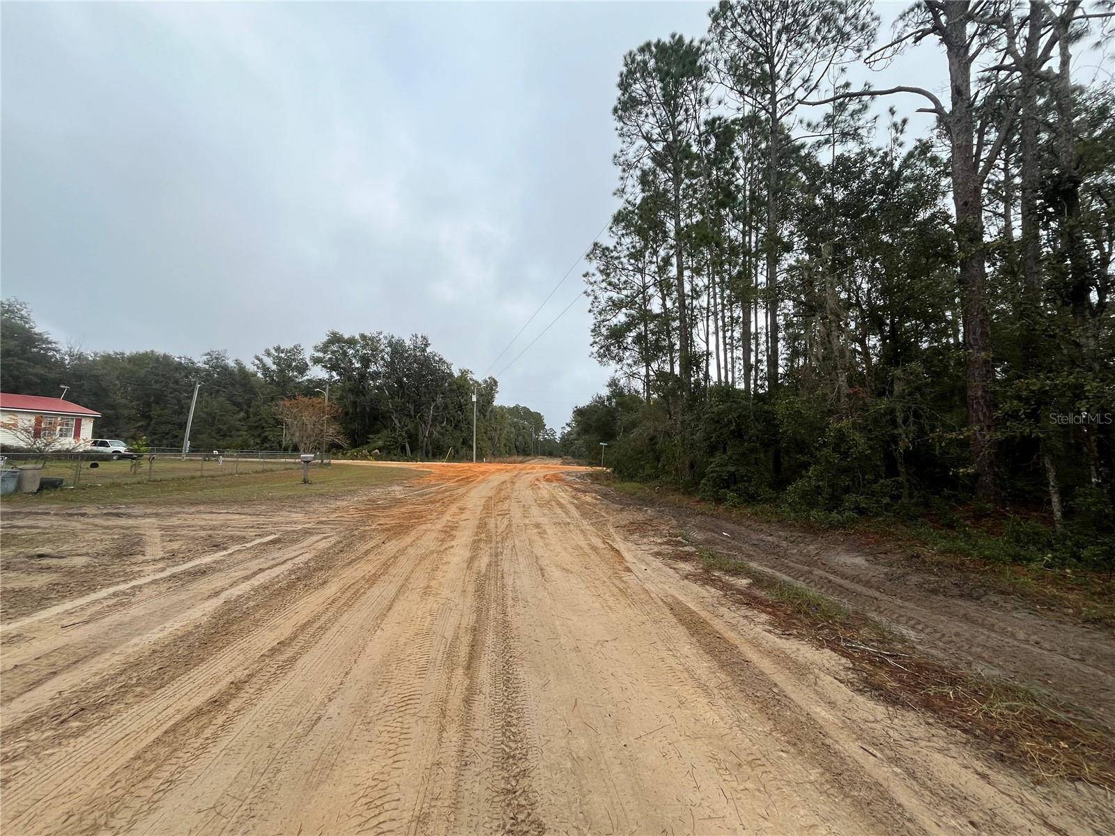 Interlachen, FL 32148,SUSAN ST