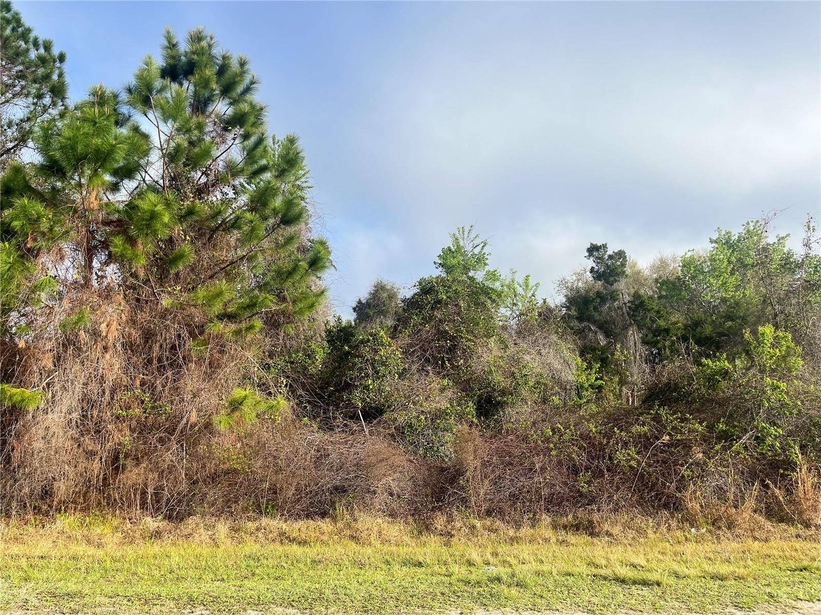 Georgetown, FL 32139,512 DOGWOOD AVE