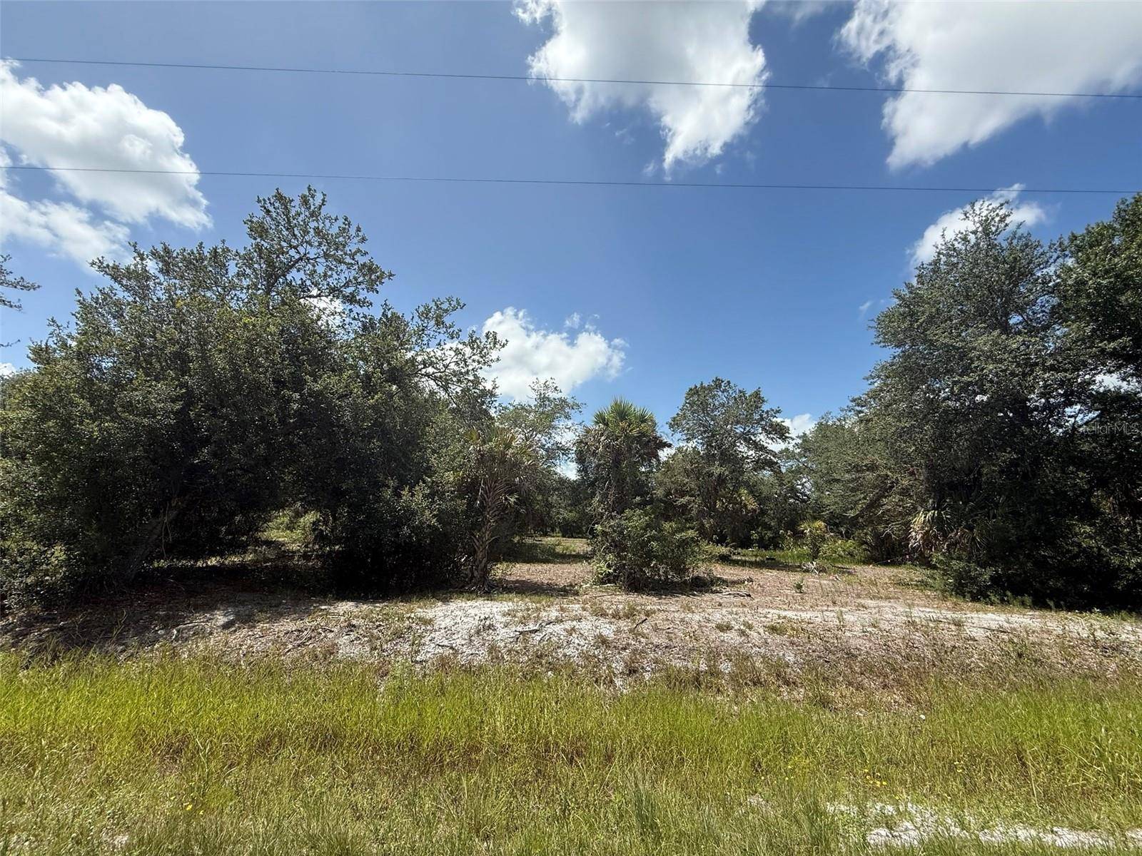 Okeechobee, FL 34972,17486 NW 276TH ST