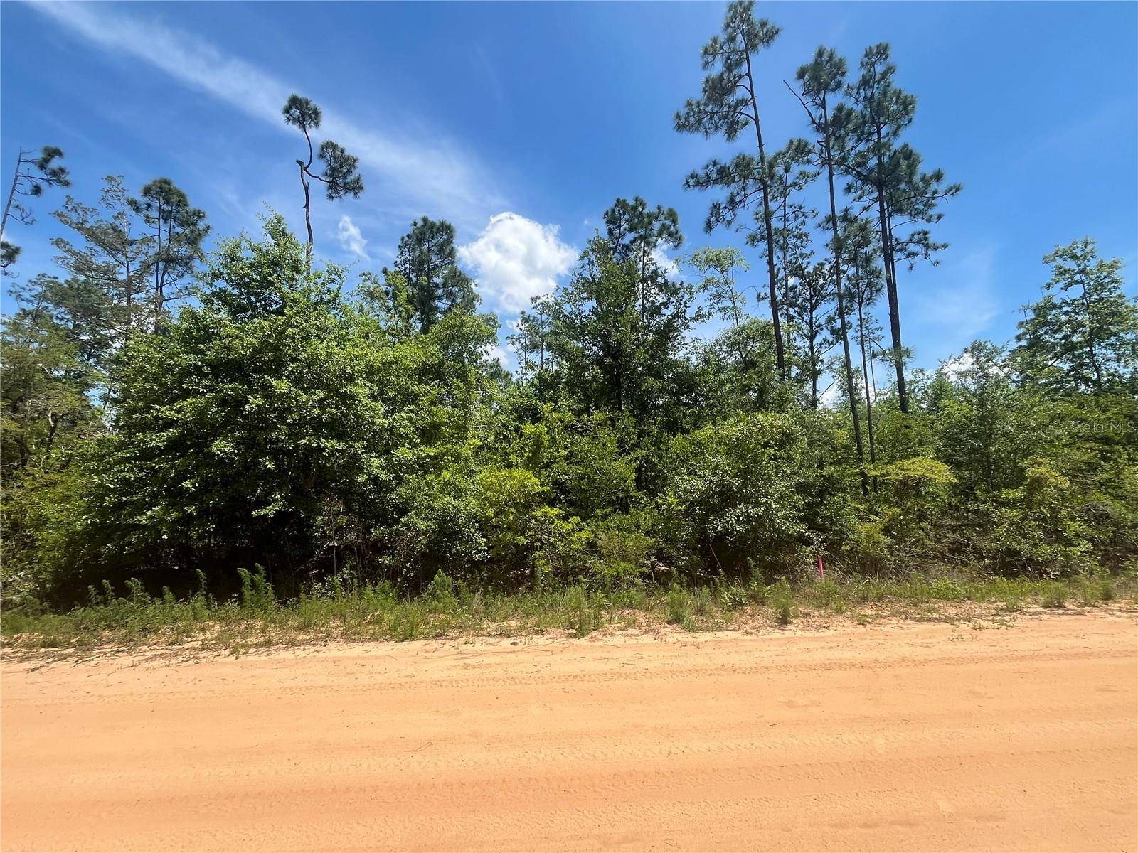 Marianna, FL 32448,TAMARAC RD