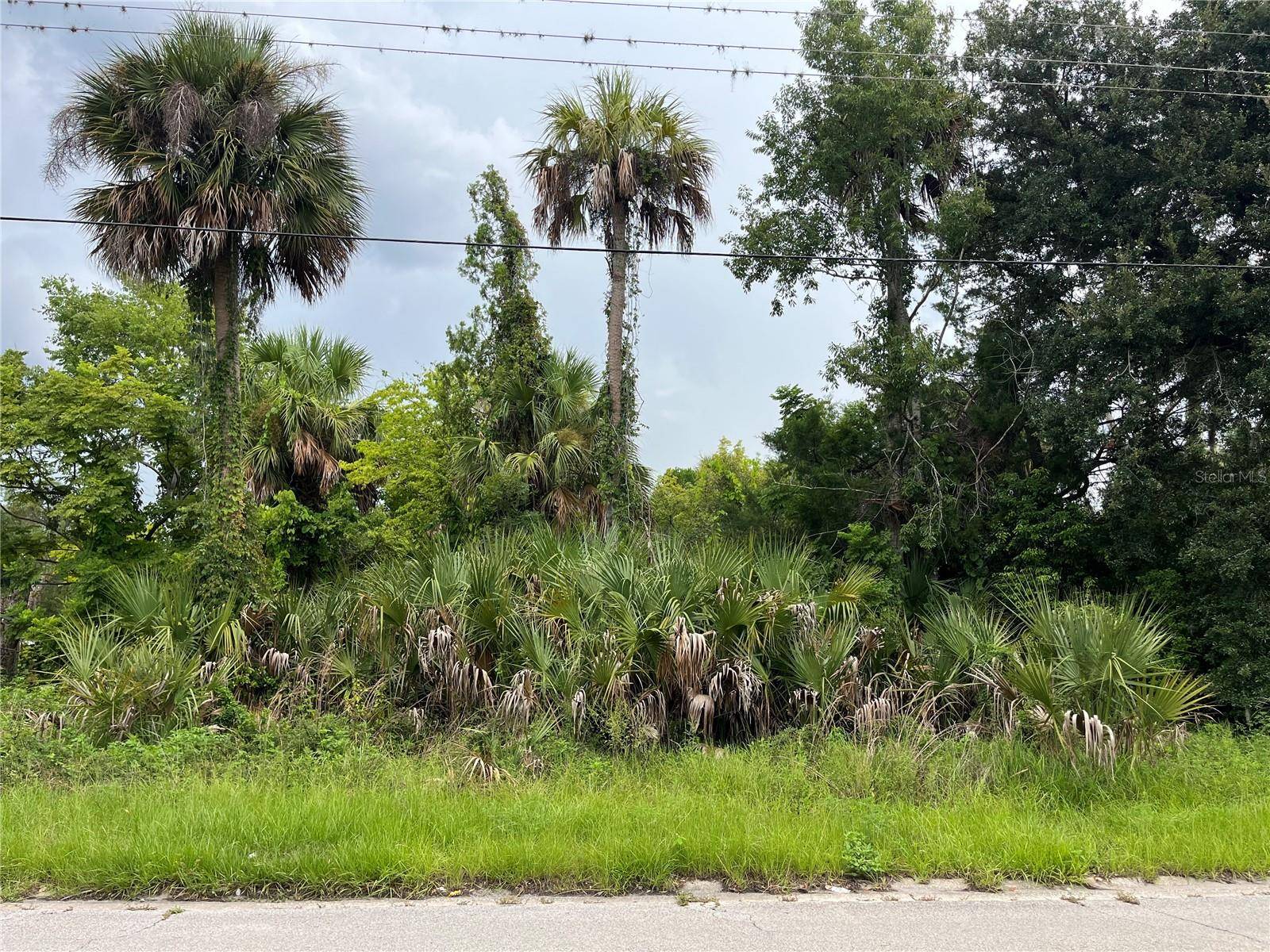 Palatka, FL 32177,1312 WASHINGTON ST