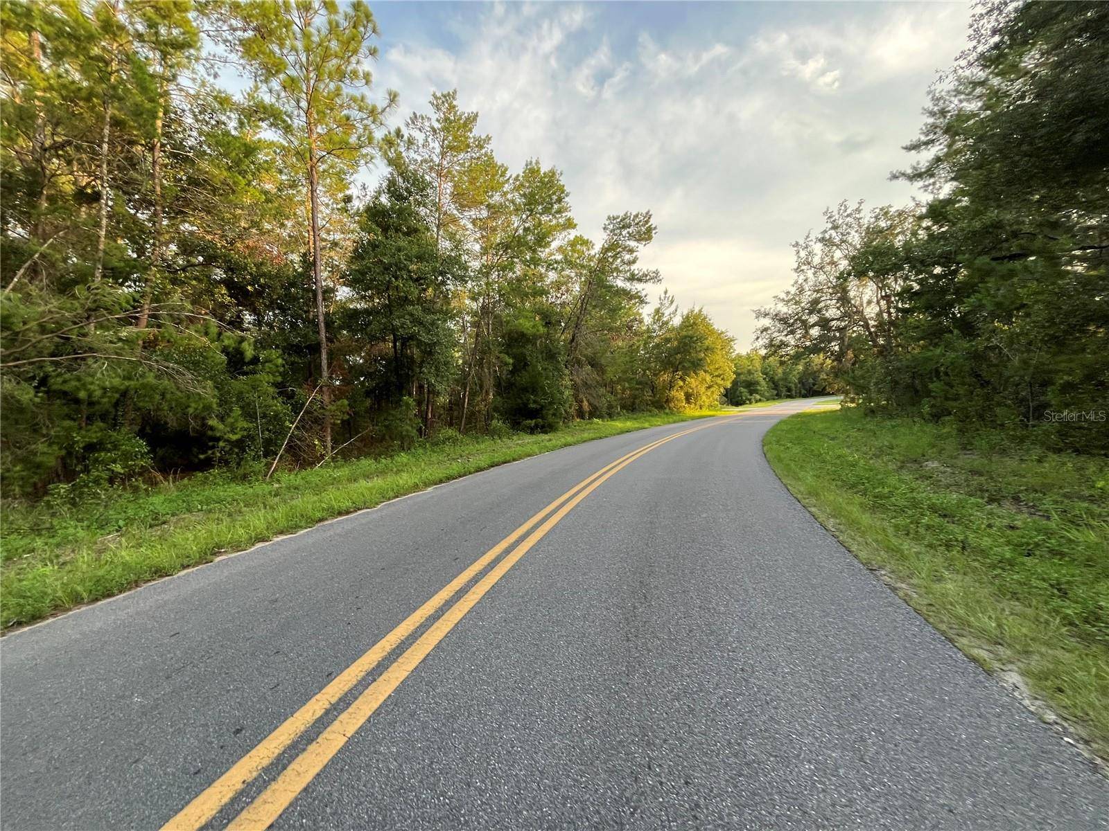 Interlachen, FL 32148,TBD TWIN LAKES RD