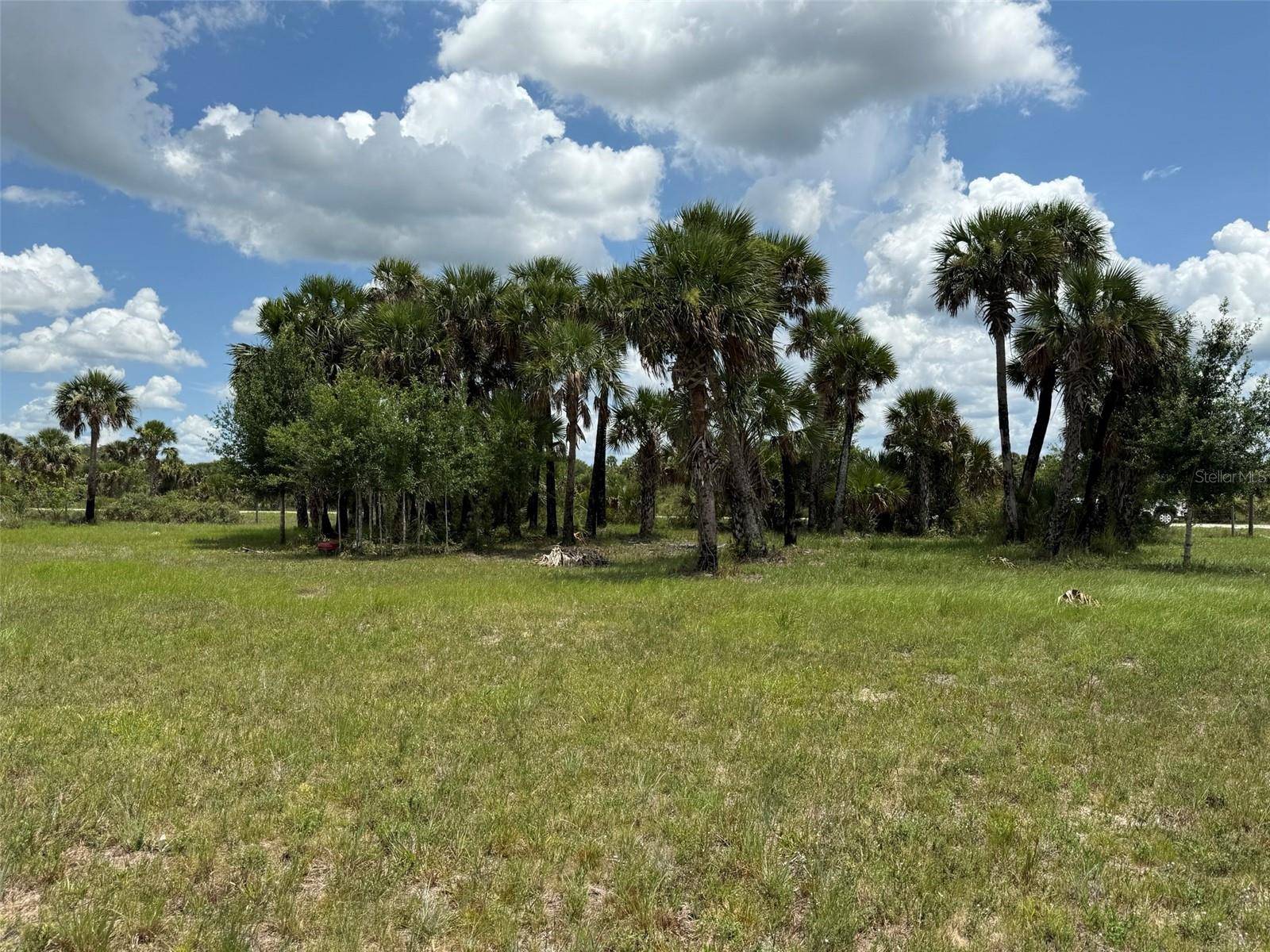 Okeechobee, FL 34972,15775 NW 288TH ST