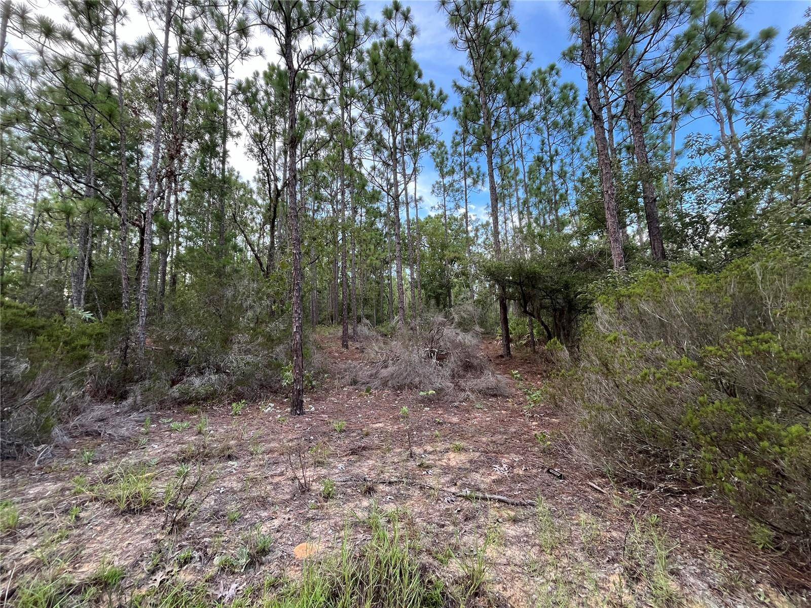 Interlachen, FL 32148,124 NEW YORK AVE