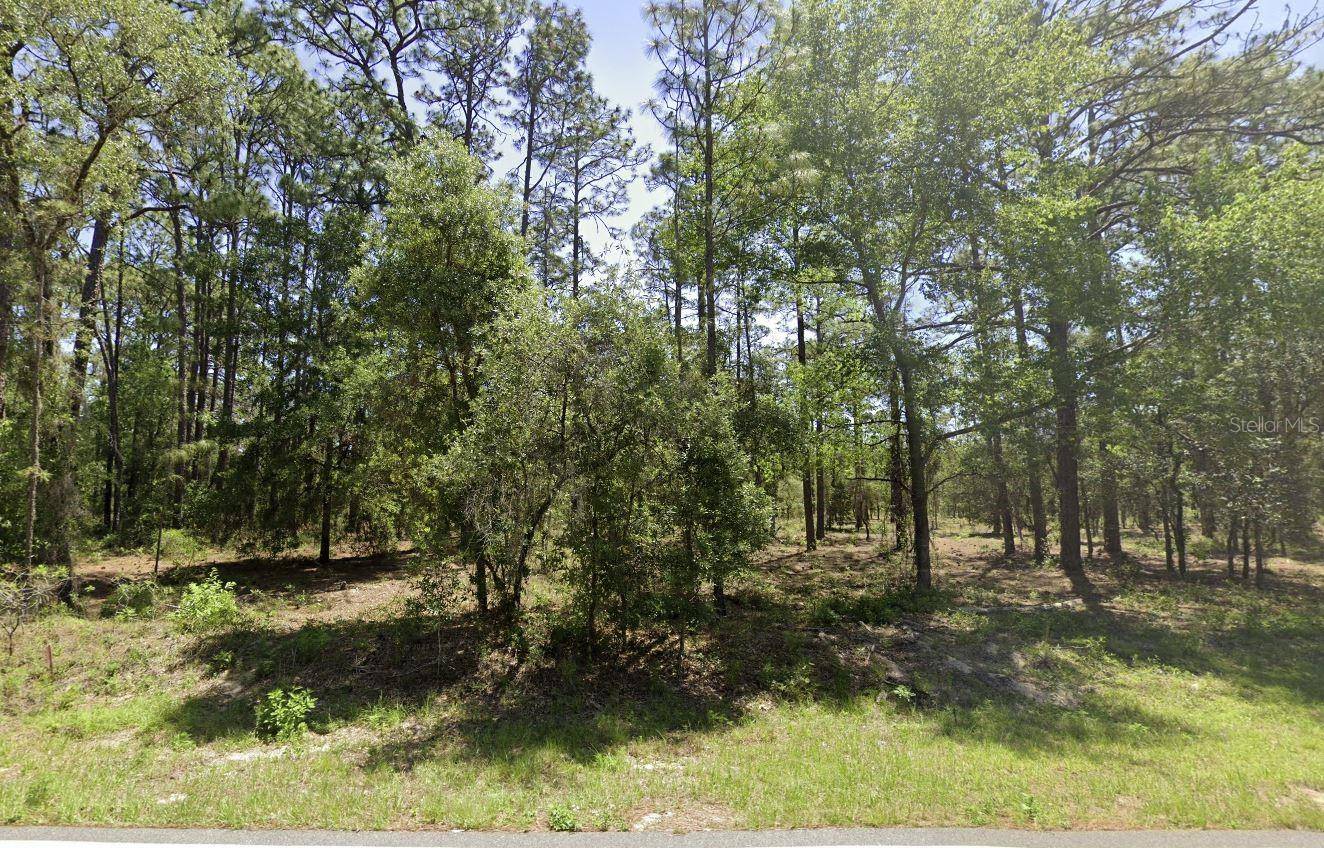Dunnellon, FL 34431,NW RIDGEWOOD RD