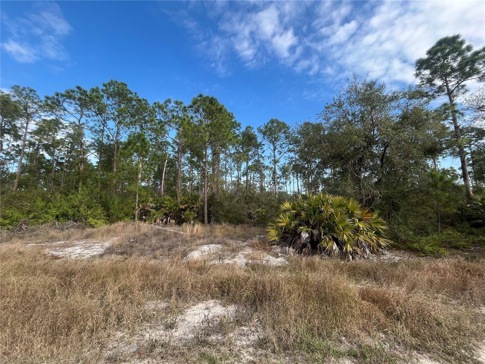 Labelle, FL 33935,7602 18TH PL