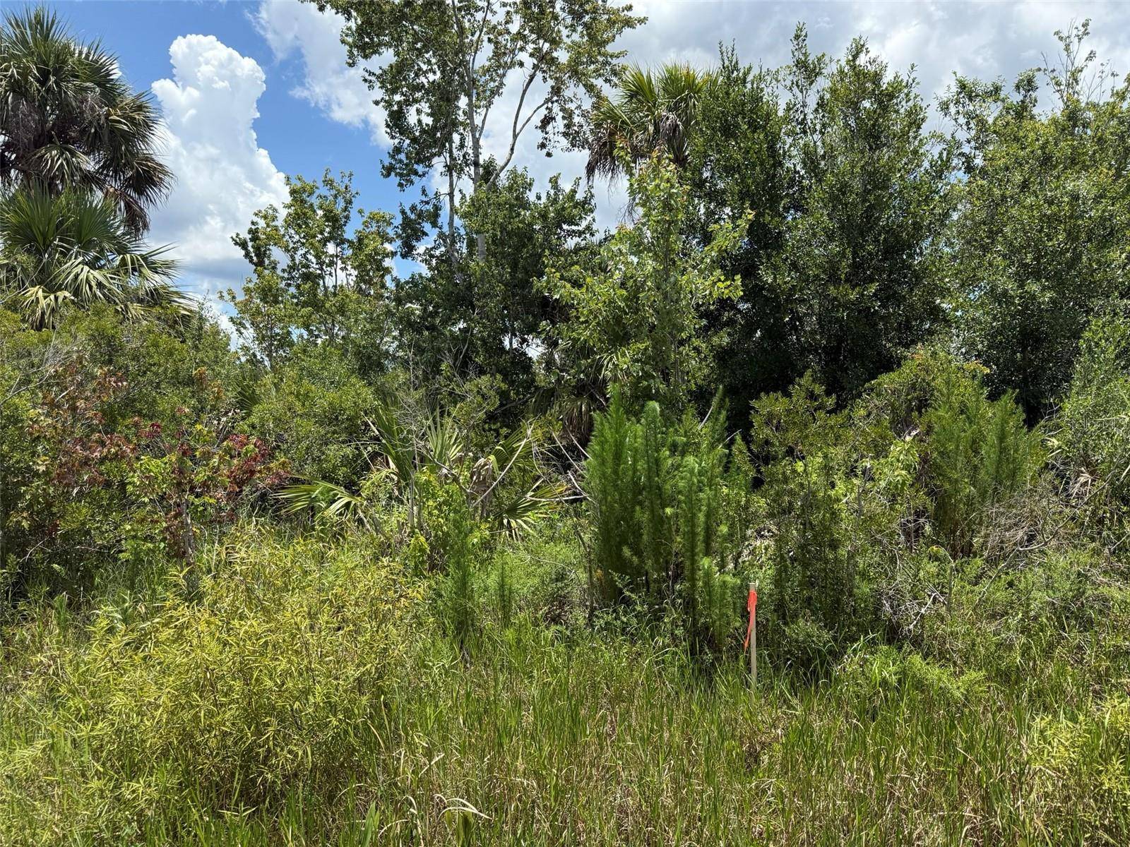 Okeechobee, FL 34972,19621 NW 276TH ST