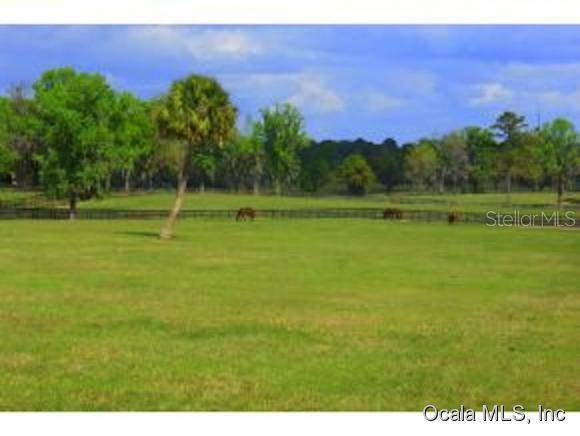 Reddick, FL 32686,1 NW County Hwy 225A