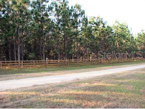 Morriston, FL 32668,TBD SE 137 AVE