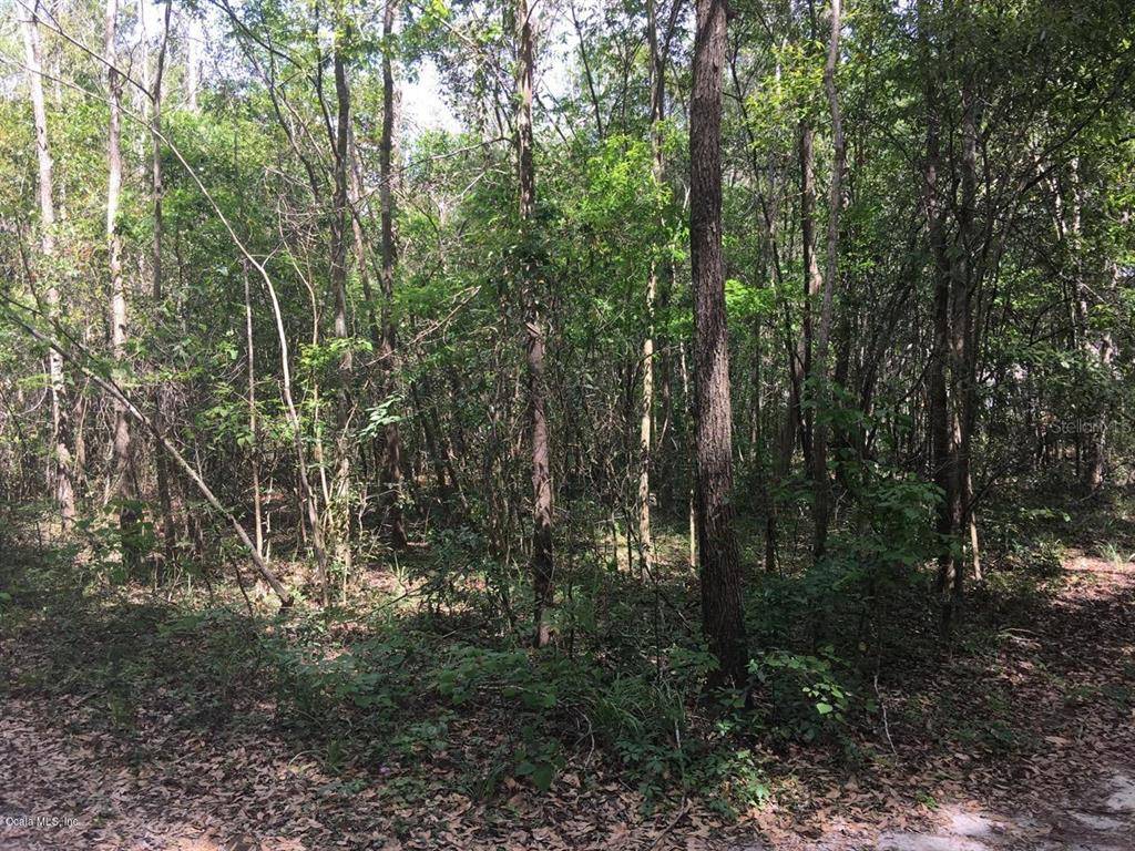 Williston, FL 32696,Lot 9 SW 4th ST