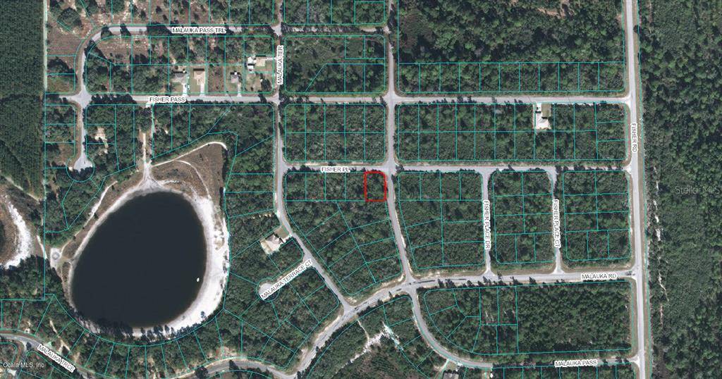 Ocklawaha, FL 32179,00 FISHER PL