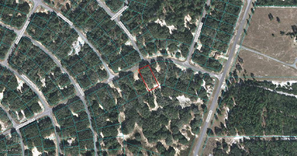 Ocklawaha, FL 32179,00 FISHER WAY TRCE