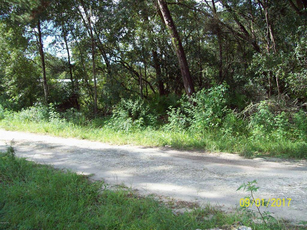 Dunnellon, FL 34432,TBD SW 147TH LN