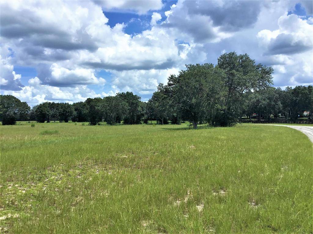 Morriston, FL 32668,TBD SE 212TH CT