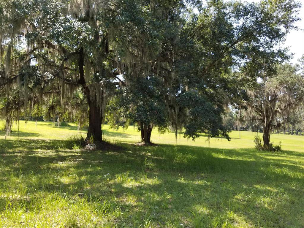 Reddick, FL 32686,7357 W Hwy 316