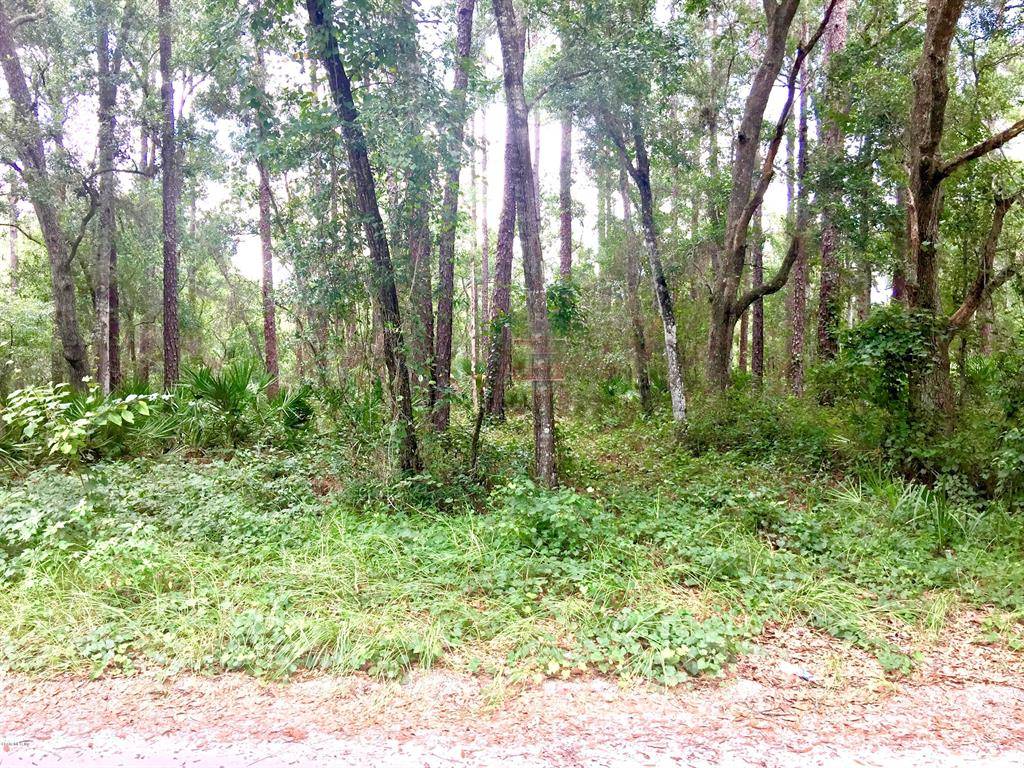 Ocklawaha, FL 32179,TBD SE 86th Lane