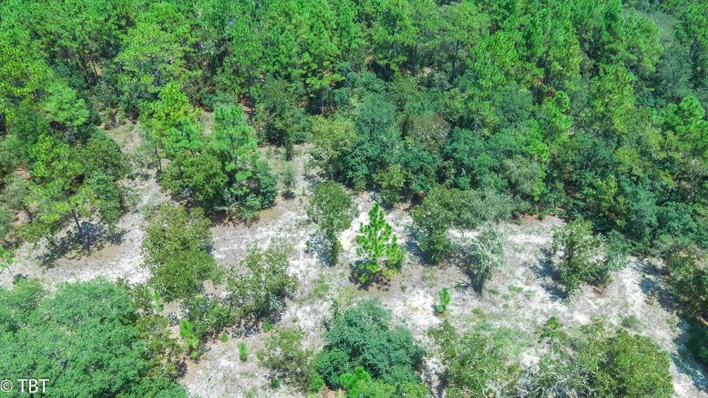 Dunnellon, FL 34431,TBD SW MARINE BLVD