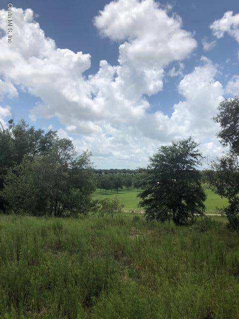 Morriston, FL 32668,000 SE 60 ST