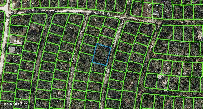 Lake Placid, FL 33852,324 Imagination DR