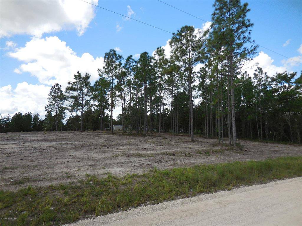 Williston, FL 32696,0 NE 5th and 4th ST