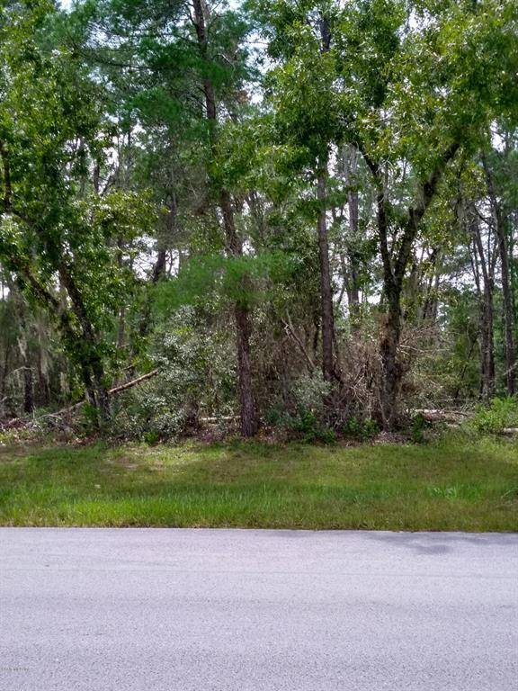 Ocala, FL 34473,TBA SW 154th Place Road