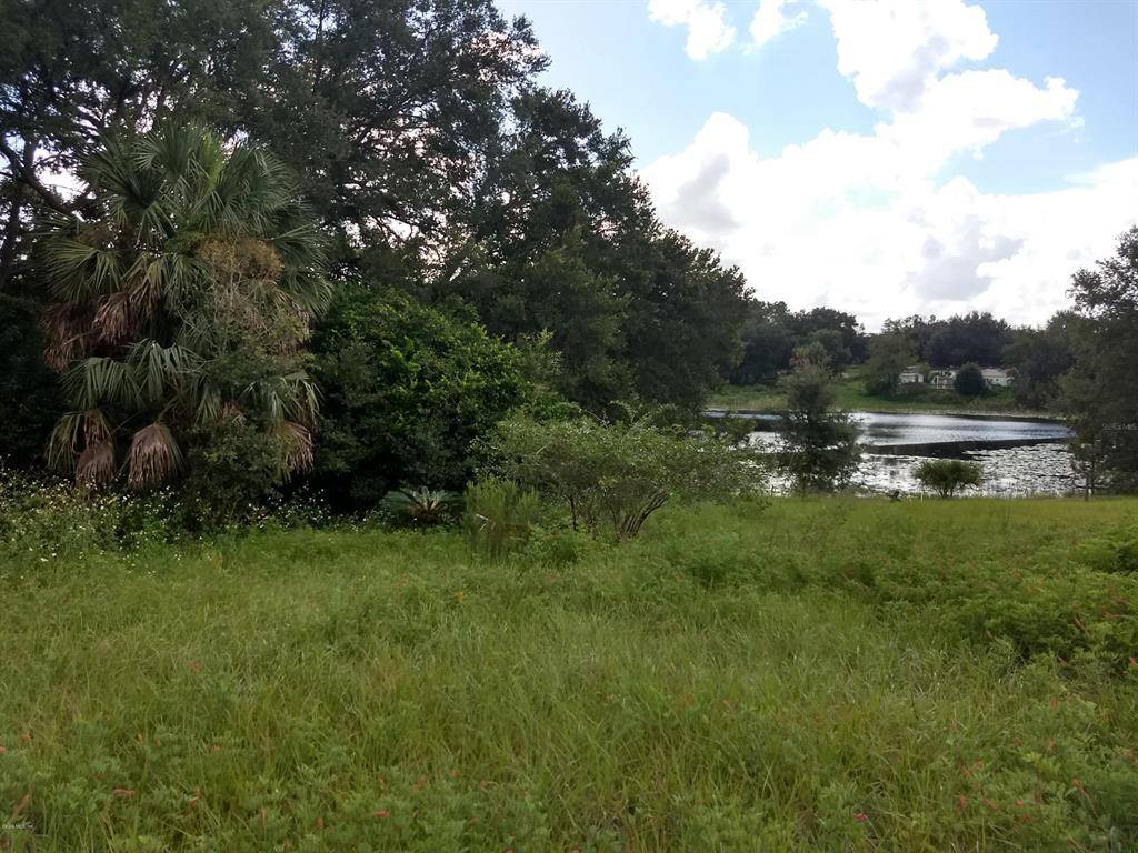 Weirsdale, FL 32195,16525 SE 170th AVE